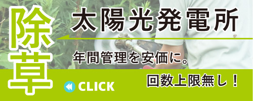 太陽光発電所除草